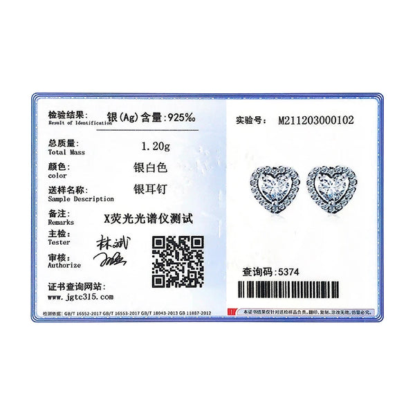 Dazzling Heart Silver Earrings